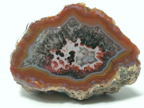 팴 A[`Y 82g (205)