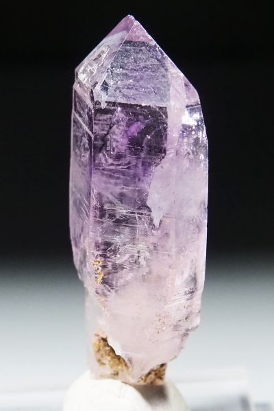 xNXAWXg 20.1g 48.5mm (52)