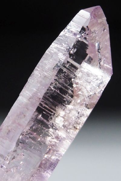xNXAWXg 16.1g 53.5mm (61)