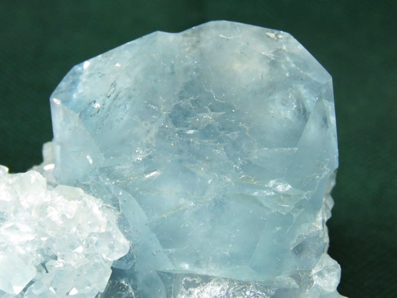 ZX^CgV 467g (23)
