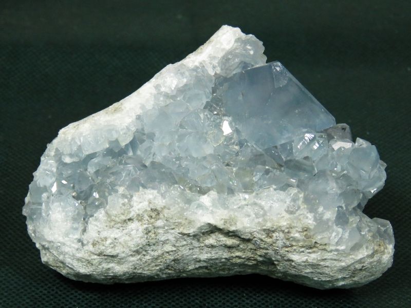 ZX^CgV 445g (27)