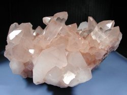 �q�}���������N���X�^�[<br> �}�j�J�����Y(�o�h�L)<br> 4.9kg (*497)