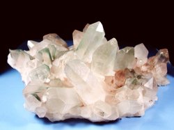 �q�}���������N���X�^�[<br> �}�j�J�����Y(�o�h�L)<br> 4.07kg (*498)