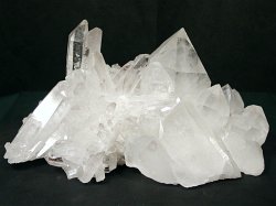 �����N���X�^�[�E�k�T�C�Y<br> �u���W���Y 3.2Kg (*03)