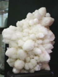 �L�����h�������N���X�^�[<br> �l��ȎY 27Kg (*7)