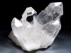 �����N���X�^�[A+<br> �u���W���E�R�����g�Y<br> 3.5kg (L12)