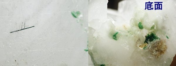 tbNTCg萅NX^[ 325g (92)
