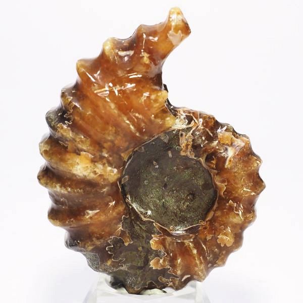 AiCg΃hErCZX 60mmd68.8g (07)