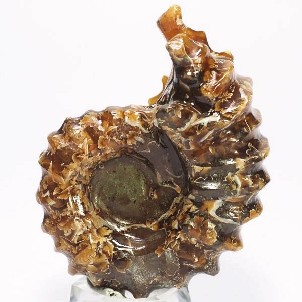 AiCg΃hErCZX 60mmd68.8g (07)