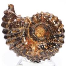 AiCg<br>hErCZX<br> 80mmd183.1g (30)