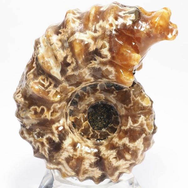 AiCg΃hErCZX 69mmd122.8g (34)