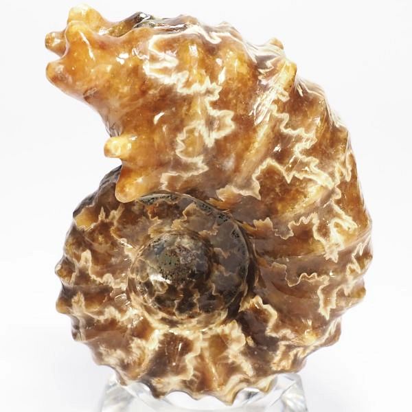 AiCg΃hErCZX 69mmd122.8g (34)