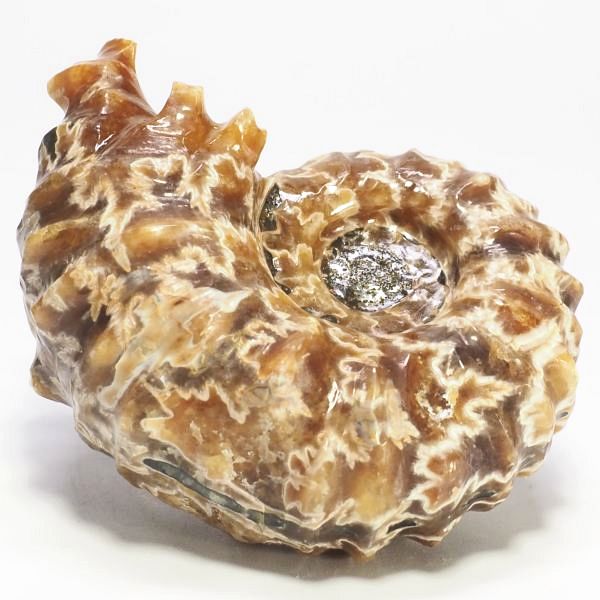 AiCg΃hErCZX 69mmd122.8g (34)