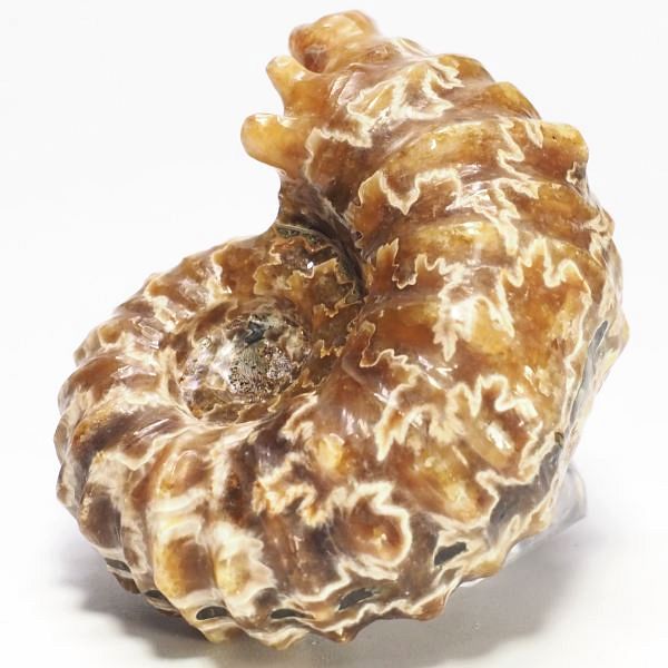 AiCg΃hErCZX 69mmd122.8g (34)