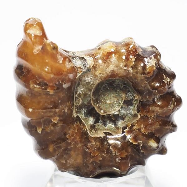 AiCg΃hErCZX 44mmd31.9g (201)