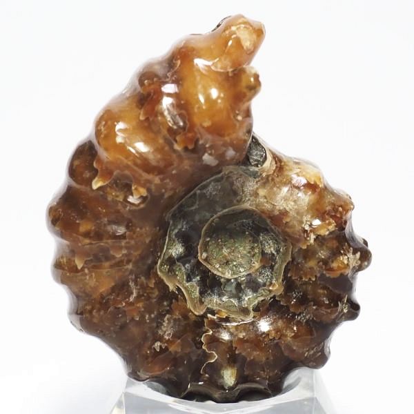 AiCg΃hErCZX 44mmd31.9g (201)