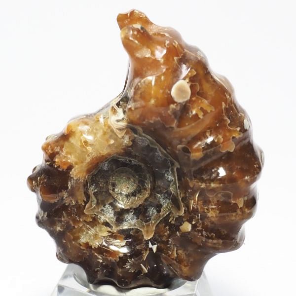 AiCg΃hErCZX 44mmd31.9g (201)