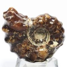 AiCg<br>hErCZX<br> 40mmd28.2g (202)