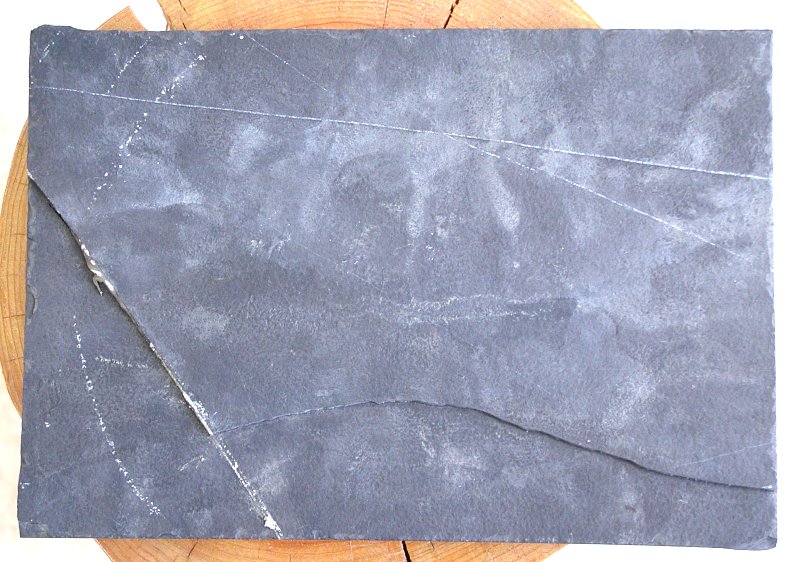 貴州竜化石 1.94Kg (*115)