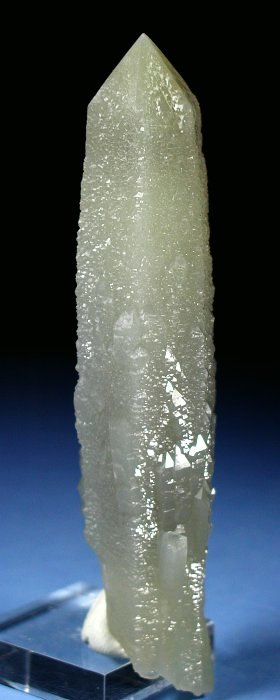wfo[KCgCNH[c ΐES 13.8cm179g (3)