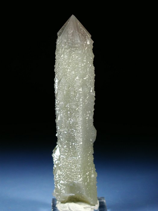 wfxKCginNH[c ΐES 13.4cm170g (6)