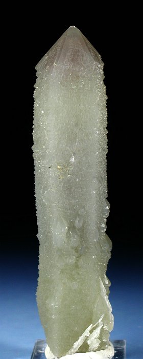 wfxKCginNH[c ΐES 13.4cm170g (6)