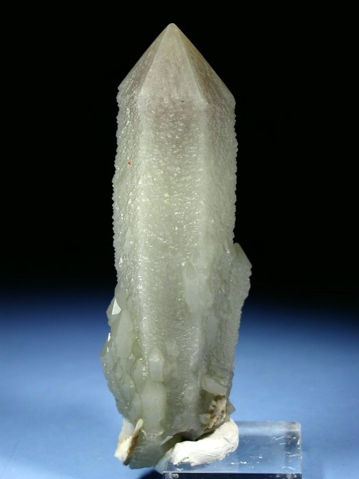 wfo[KCgCNH[c ΐES 13.1cm215g (7)