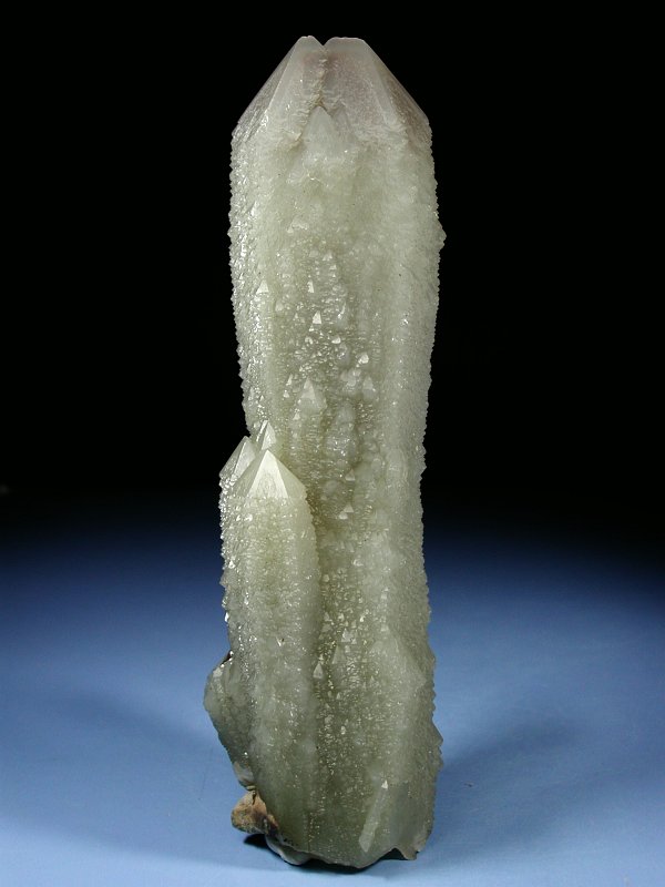 wfo[KCgCNH[c ΐES 18.2cm631g (19)
