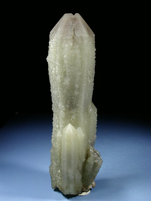 wfo[KCgCNH[c ΐES 18.2cm631g (19)
