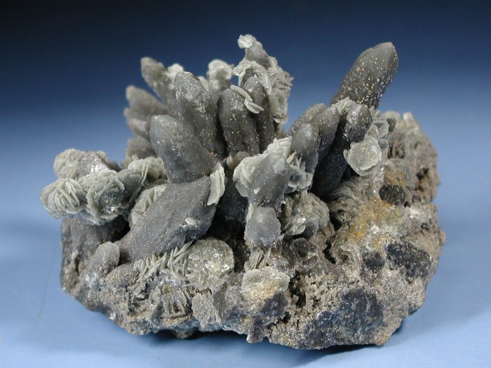 wfxKCginNH[c ΐES 8.7cm200g (24)