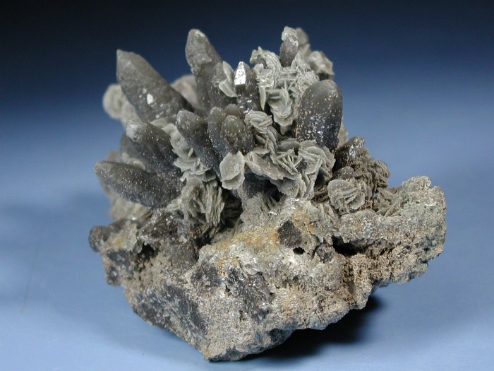 wfxKCginNH[c ΐES 8.7cm200g (24)