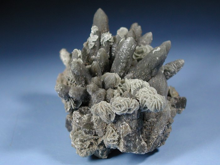 wfxKCginNH[c ΐES 8.7cm200g (24)