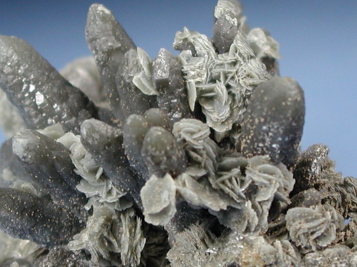 wfxKCginNH[c ΐES 8.7cm200g (24)