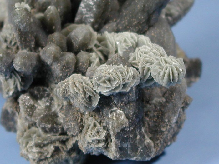 wfxKCginNH[c ΐES 8.7cm200g (24)
