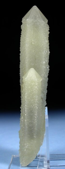 wfo[KCgCNH[c ΐES 14.2cm142g (*29)
