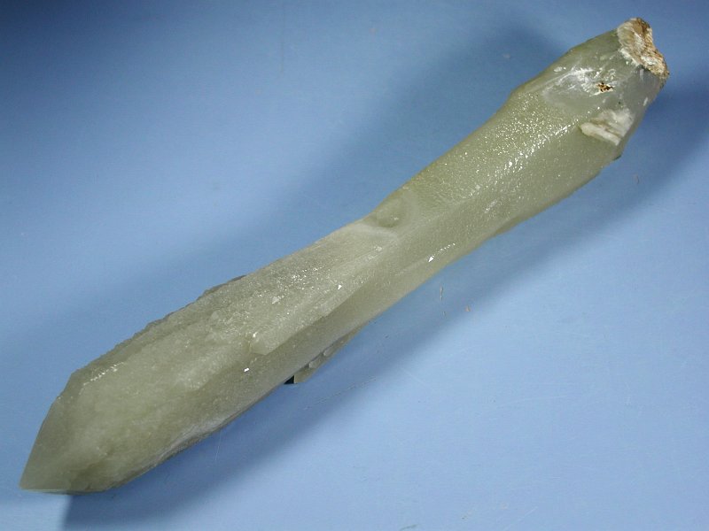 wfo[KCgCNH[c ΐES 22.4cm325g (11)