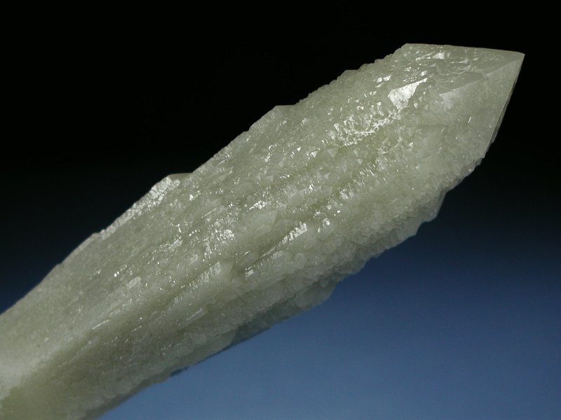wfo[KCgCNH[c ΐES 22.4cm325g (11)
