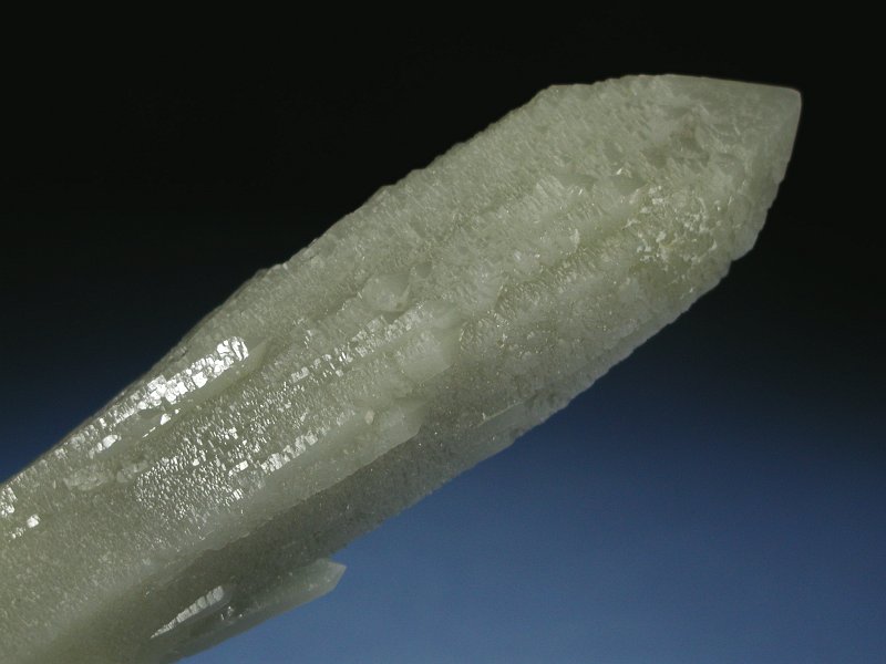 wfo[KCgCNH[c ΐES 22.4cm325g (11)