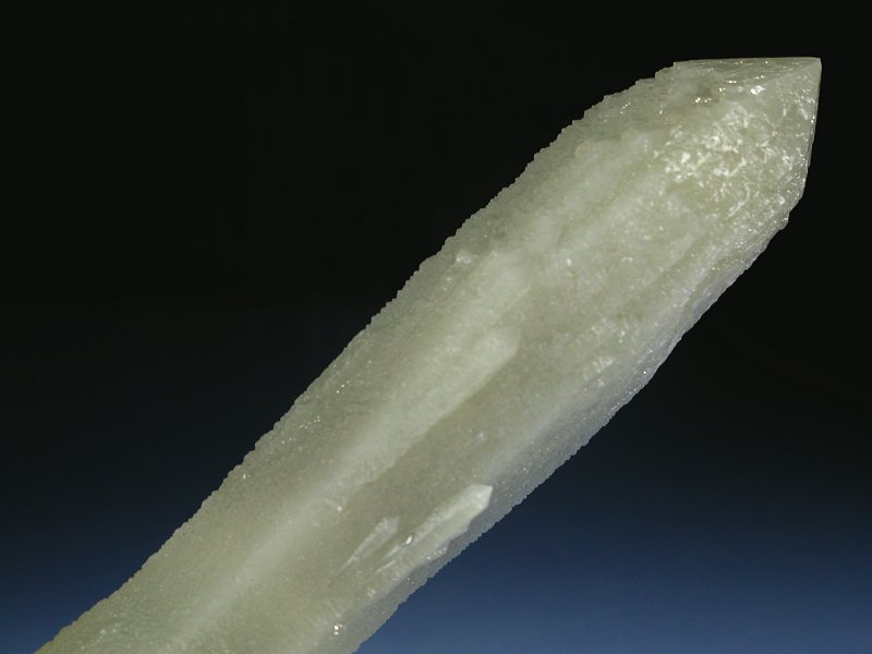 wfo[KCgCNH[c ΐES 22.4cm325g (11)