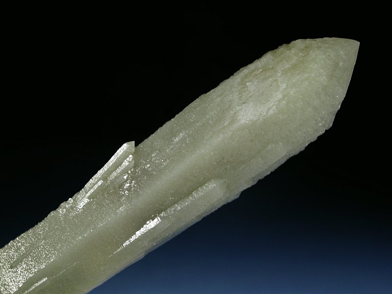 wfo[KCgCNH[c ΐES 22.4cm325g (11)