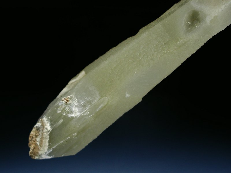wfo[KCgCNH[c ΐES 22.4cm325g (11)