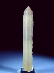 wfxKCginNH[c<br> ΐES<br> 17.6cm,207g (15)