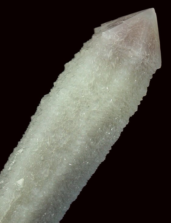 wfxKCginNH[c ΐES 17.6cm207g (15)