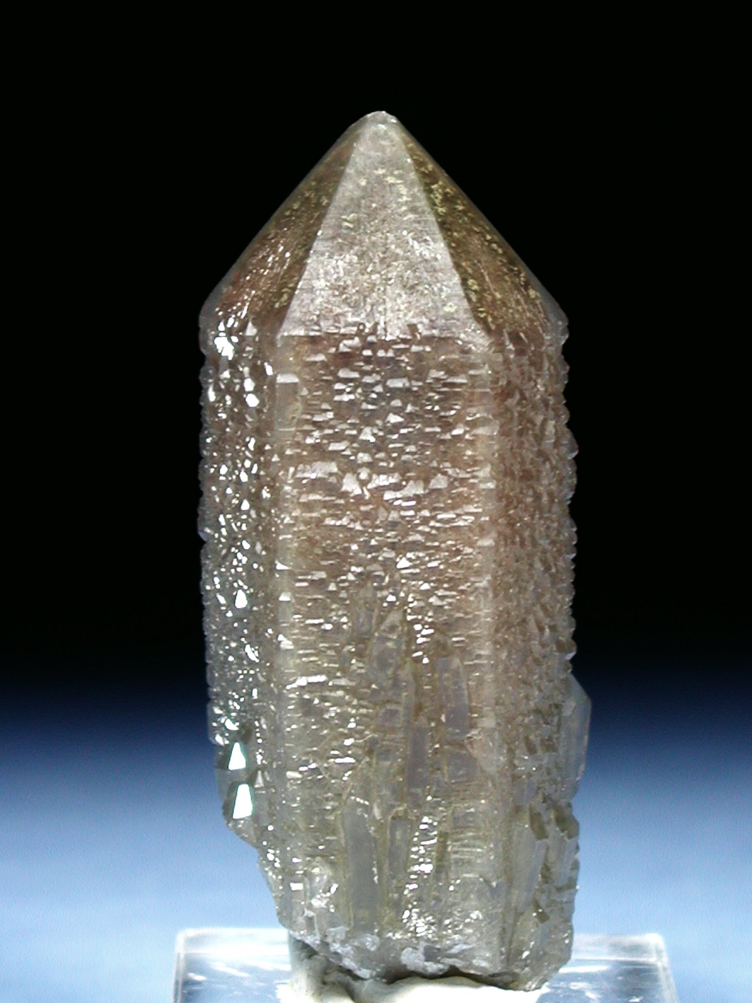 w}^CginNH[c t@gES 6.8cm67g (*23)