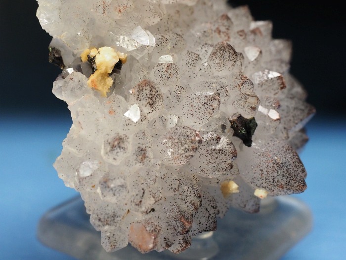 �Q�[�T�C�g�C���N�H�[�c �������S���Y 78g (59)