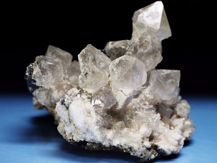 �Z�v�^�[�N�H�[�c �������S���Y 200g (68)