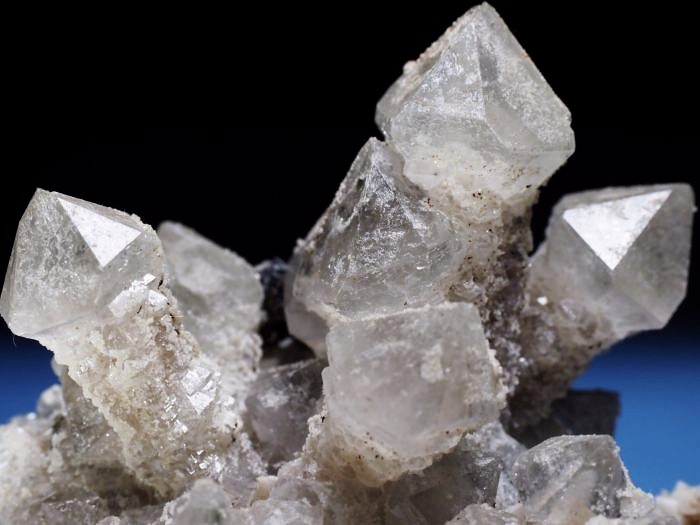 �Z�v�^�[�N�H�[�c �������S���Y 200g (68)