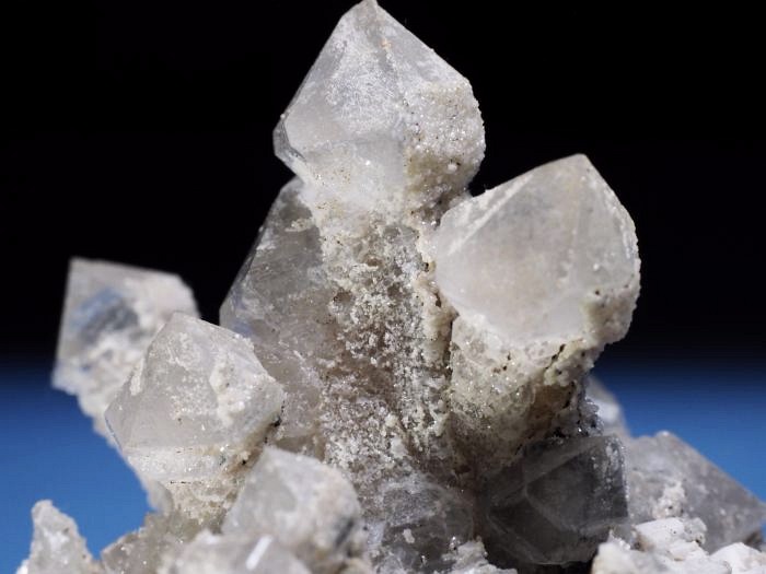 �Z�v�^�[�N�H�[�c �������S���Y 200g (68)