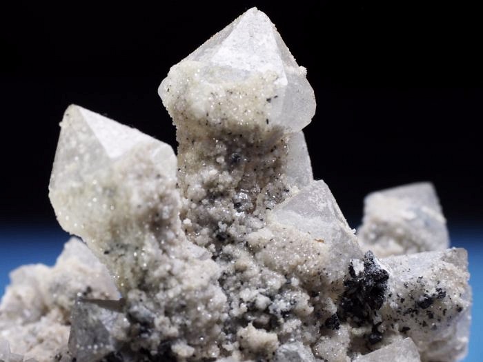 �Z�v�^�[�N�H�[�c �������S���Y 200g (68)