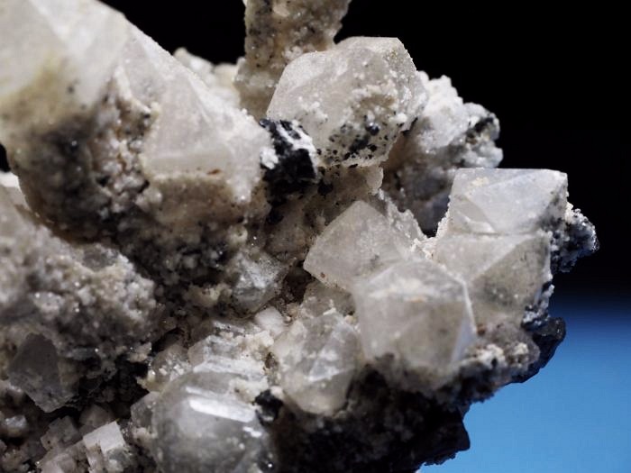 �Z�v�^�[�N�H�[�c �������S���Y 200g (68)